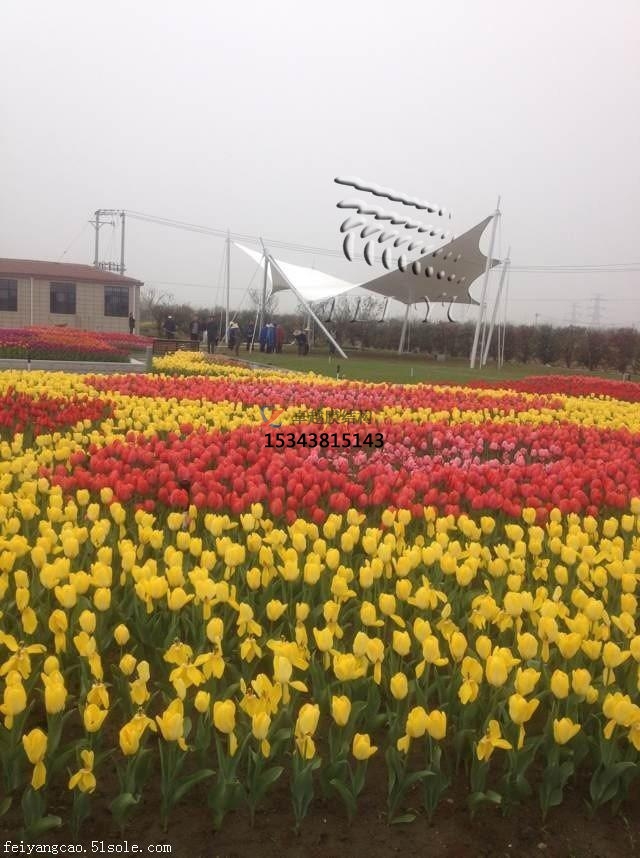 水富<font color='red'>膜結(jié)構(gòu)景觀</font>【張拉膜景觀】承包安裝價格