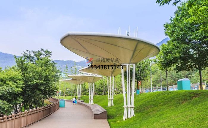 株洲<font color='red'>膜結(jié)構(gòu)景觀</font>